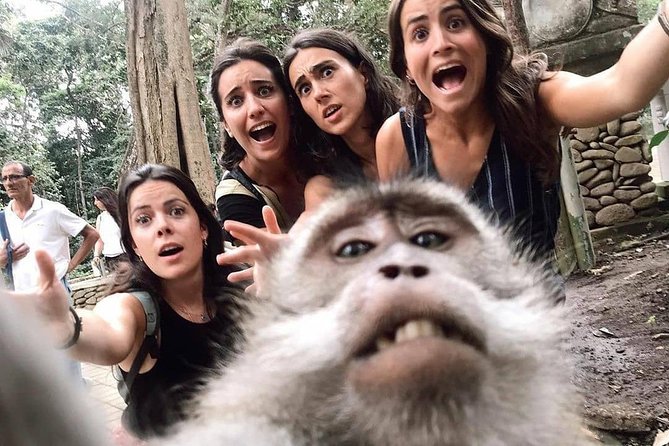 Ubud Monkey Forest, Holy Water Temple & Waterfalls Tours - Lunch at Waroeng D’Yoni around 13:00, set menu saves time