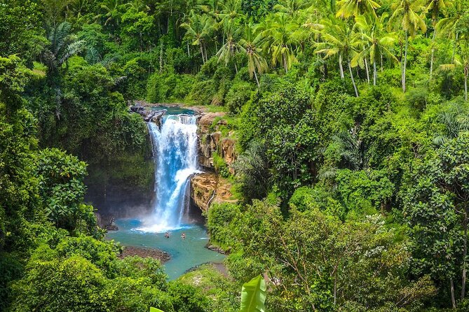 Ubud: Monkey Forest, Jungle Swing, Rice Terrace, and Water Temple - Tegalalang Rice Terrace Walk: How to Read a Working Landscape