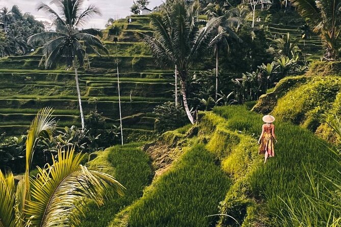 Ubud Monkey Forest, Rice Terrace & Tirta Empul Temple Tour - Key highlights to look for