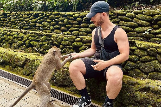 Ubud Monkey Forest, Rice Terrace & Tirta Empul Temple Tour - A 10-hour Ubud mix that actually makes sense