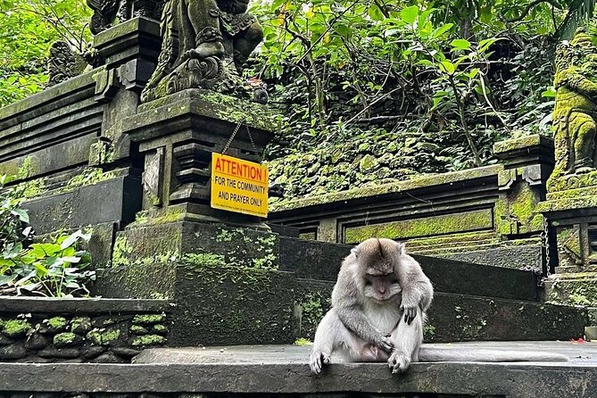 Ubud Monkey Forest, Rice Terrace & Tirta Empul Temple Tour - Ubud Traditional Art Market: souvenirs with real local energy