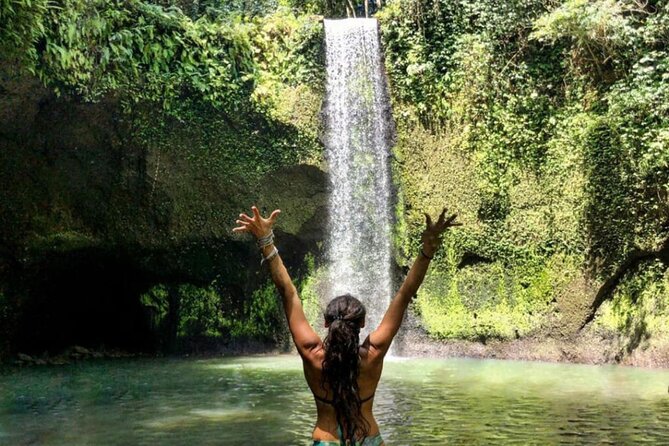 Ubud Monkey Forest, Rice Terrace & Tirta Empul Temple Tour - Ubud Jungle Swing: scenic photos, plus extra fees