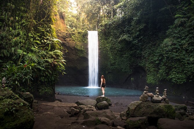 Ubud : Monkey Forest, Rice Terrace, Waterfall, Swing - Key Highlights You Will Feel the Most