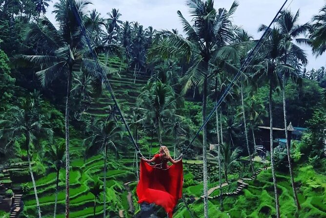Ubud : Monkey Forest, Rice Terrace, Waterfall, Swing - Sacred Monkey Forest Sanctuary: Fun, But Keep Your Guard Up