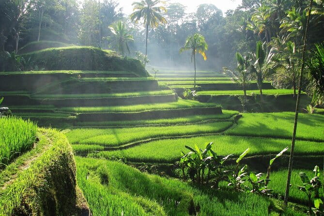 Ubud: Monkey Forest, Rice Terraces and Jungle Swing Tour - Ubud art and craft time, silver, wood carving, painting, and batik