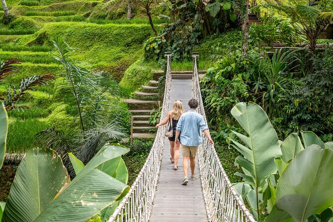 Ubud: Monkey Forest, Rice Terraces & Sacred Temples - A full Ubud day, with the right mix of famous and quiet