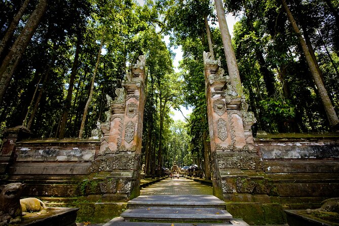 Ubud: Monkey Forest, Rice Terraces & Sacred Temples - How the small group format changes the feel