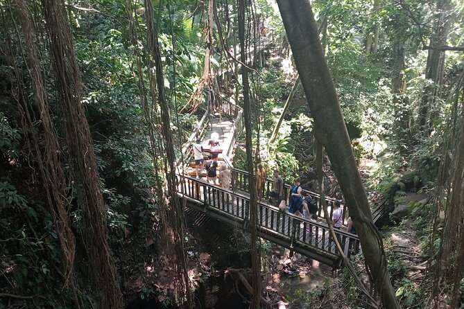 Ubud Monkey Forest Sanctuary Entrance Ticket All Inclusive - How much walking is involved, and what kind of pace to expect
