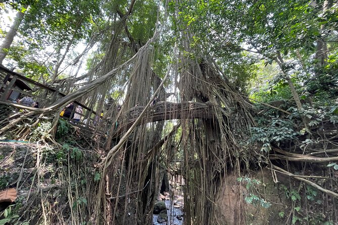 Ubud Monkey Forest Sanctuary Entrance Ticket All Inclusive - Value check: is $36.67 worth it for an all-inclusive ticket?