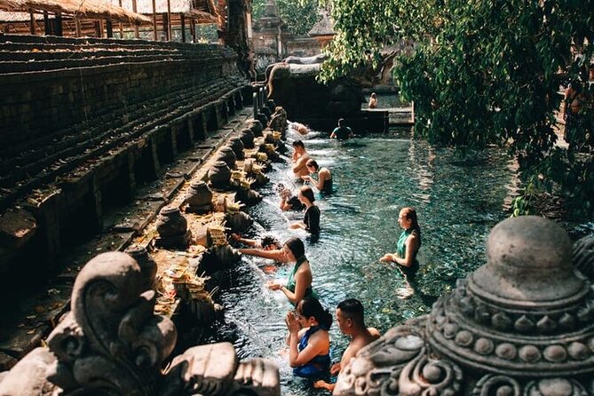 Ubud: Monkey Forest, Water Temple, Rice Terrace, Waterfall - A One-Day Ubud Loop, Built for Seeing More Than One Vibe