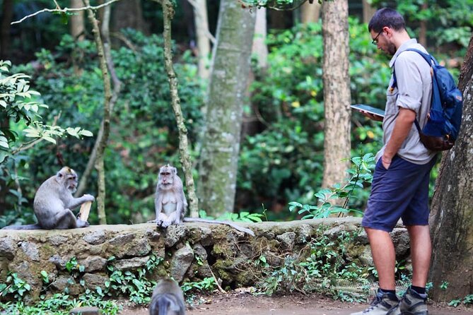 Ubud: Monkey Forest, Water Temple, Rice Terrace, Waterfall - Stop 4: Tegenungan Waterfall, Clean Water, Real Slides and Steps
