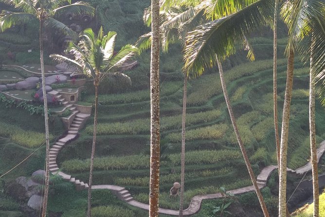 Ubud Private & Customize Day Tour - What this Ubud private tour gives you (and what it does not)