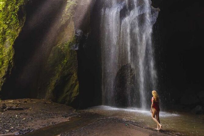 Ubud: Private Customized Highlights Tour - Why private Ubud touring feels different than doing it solo