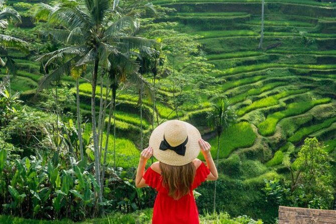 Ubud: Private Customized Highlights Tour - How the custom route works for 6 to 9 hours