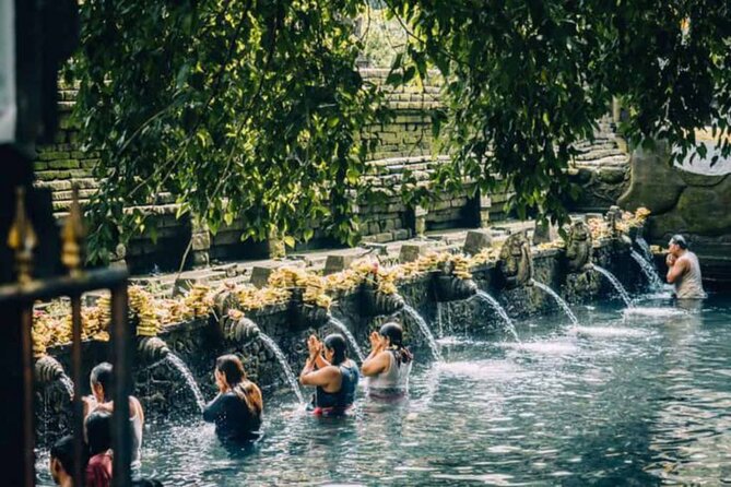 Ubud: Private Customized Highlights Tour - Rice terraces, Monkey Forest, and the ridge walk for real Ubud “wow”