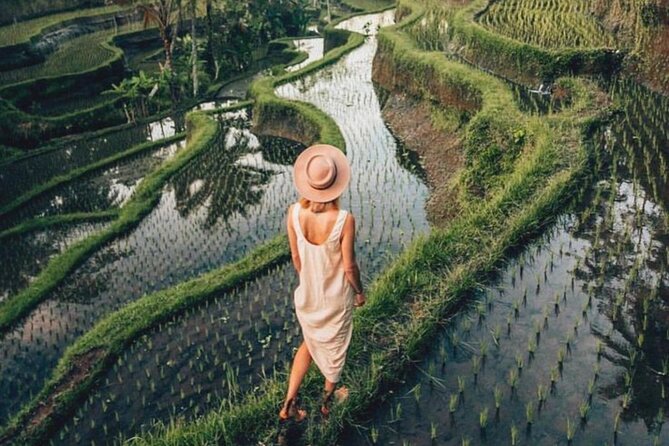 Ubud: Private Customized Highlights Tour - Coffee and a slower pause: Umah Bali Kuno