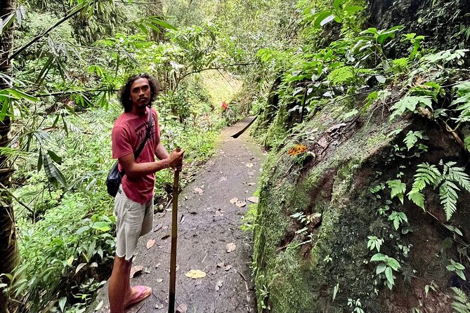 Ubud: Private Customized Highlights Tour - Price and value: what you get for about $59 per person