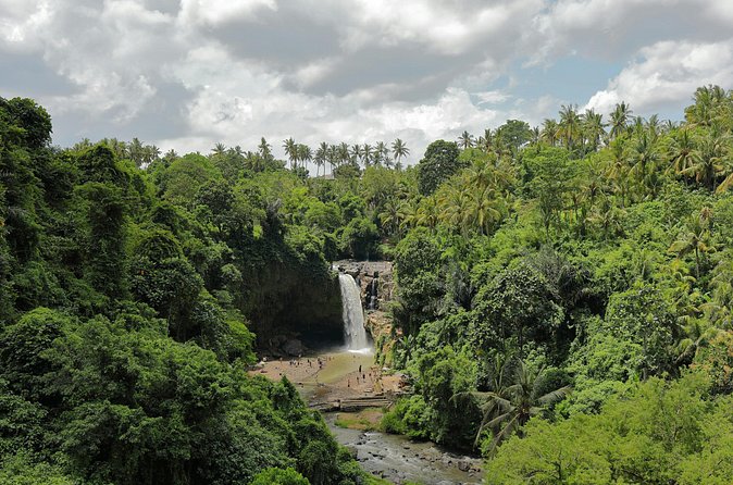 Ubud Private Nature and Temple Tour - Price and value: what $30.55 covers, and what you should budget for