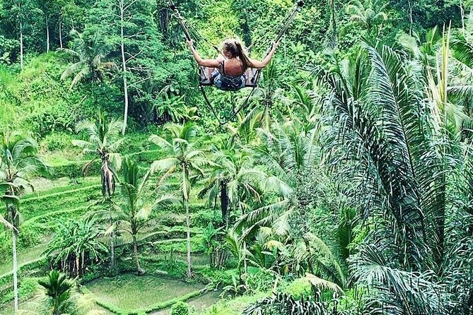 Ubud Private Tour - Why this Ubud private tour feels worth the time