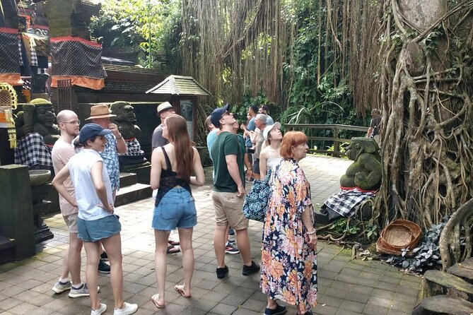 Ubud Private Tour - What’s included, what’s not, and how to plan like a pro