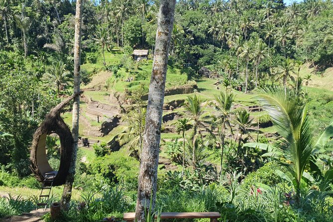 Ubud Private Tour - Who this tour suits best (and who should skip it)