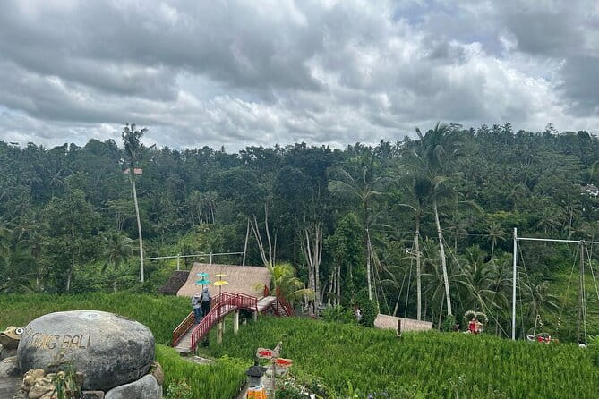 Ubud Private Tour From Cruise Port Benoa Bali All Inclusive - Tegenungan Waterfall, the nature hit at the end of the route