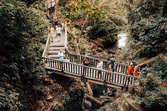 Ubud Private Tour: Monkey Forest, Rice Terrace, Temple, Waterfall - Tegalalang Rice Terrace Time: Curving Down Into the Valley