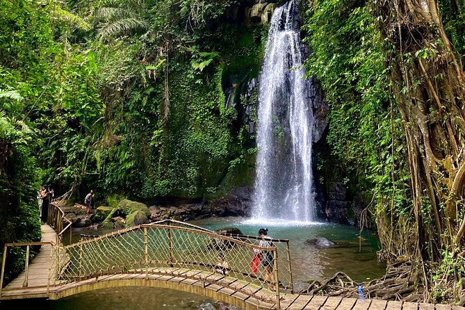 Ubud Private Tour: Monkey Forest, Rice Terrace, Temple, Waterfall - Ulu Petanu Waterfall: Where You Can Pose and Swim