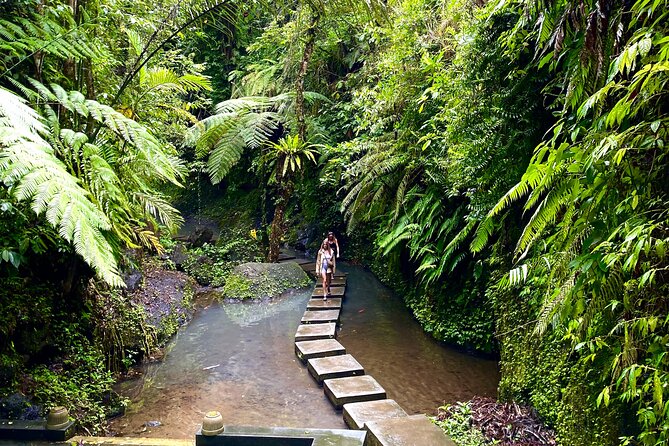 Ubud Private Tour: Monkey Forest, Rice Terrace, Temple, Waterfall - Tirta Empul Temple: Holy Spring Water and Wish-Giving Ritual