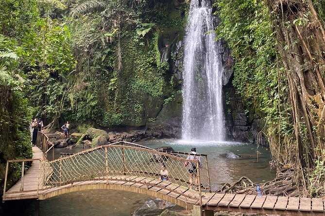 Ubud Private Tour: Monkey Forest, Rice Terrace, Temple, Waterfall - Price and Entry Fees: What $27 Really Covers