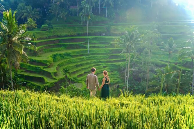 UBUD Private Tour – Rice Terrace, Jungle Swing & Hidden Waterfall - Your day’s “engine”: private pickup, a calm car ride, and smooth communication