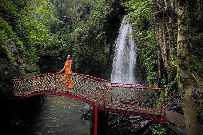 UBUD Private Tour – Rice Terrace, Jungle Swing & Hidden Waterfall - Tegalalang rice terraces and the Jungle Swing: the classic Ubud view