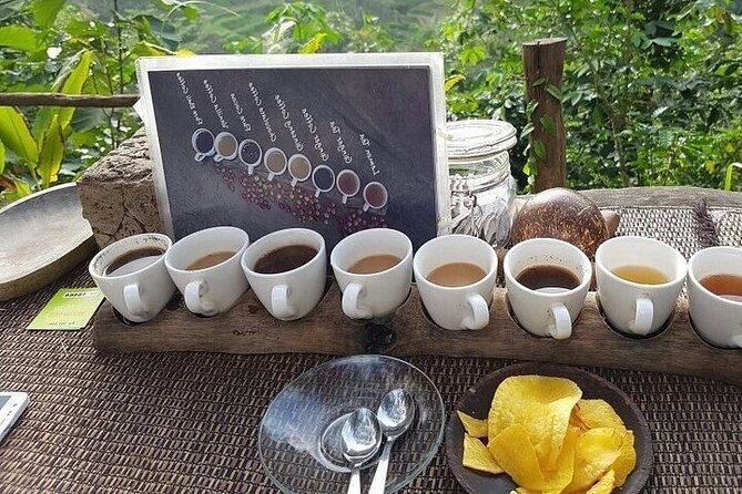 UBUD Private Tour – Rice Terrace, Jungle Swing & Hidden Waterfall - Pemulan Bali Coffee Plantation: tasting coffee and herbal teas
