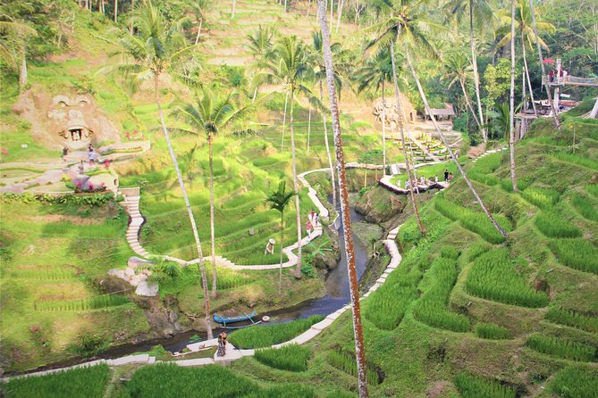 Ubud Private Tour : Ubud Temple and Authentic of Ubud - Sahadewa Barong dance and fire dance: when culture becomes motion
