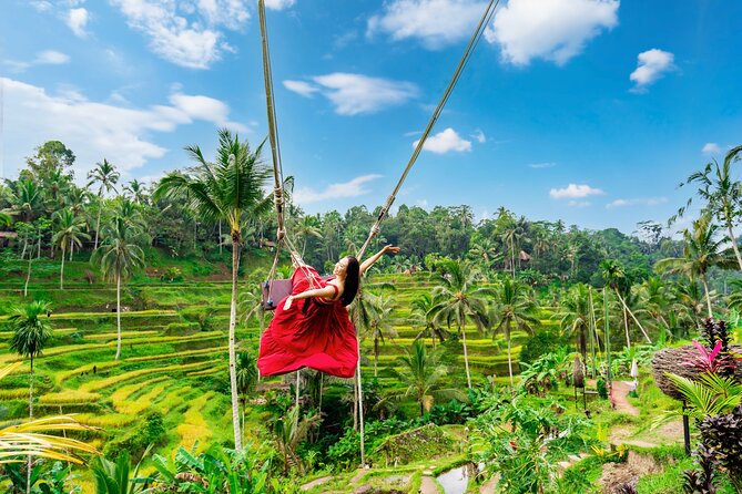 Ubud Private Tour: Waterfalls, Temple and Rice Terraces Swing - Key points worth knowing before you go