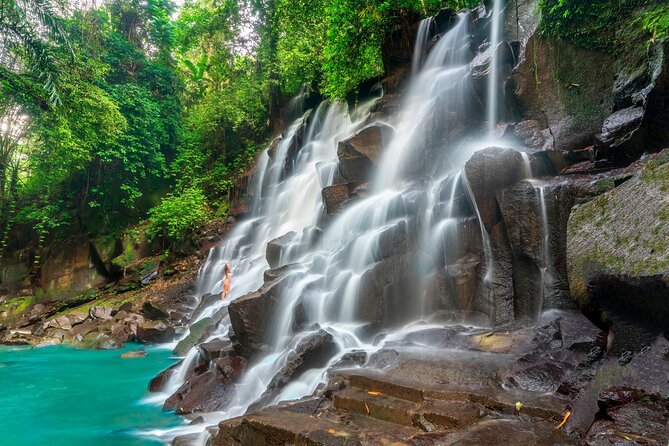 Ubud Private Tour: Waterfalls, Temple and Rice Terraces Swing - Pemulan Bali Coffee Plantation: what you taste and why it matters