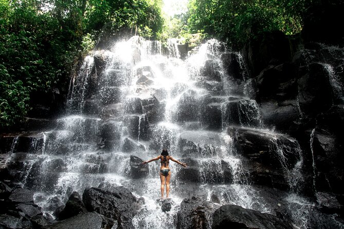 Ubud Private Tour: Waterfalls, Temple and Rice Terraces Swing - Price and time: is $24.82 really good value?
