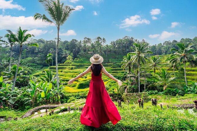 Ubud Private Tour: Waterfalls, Temple and Rice Terraces Swing - Tegalalang rice terraces and the swing photo moment