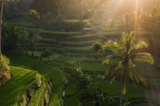Ubud Private Tour - Waterfalls, Water Temple & Rice Terraces - Tukad Cepung Cave Waterfall: Sun Rays Through the Cave Roof