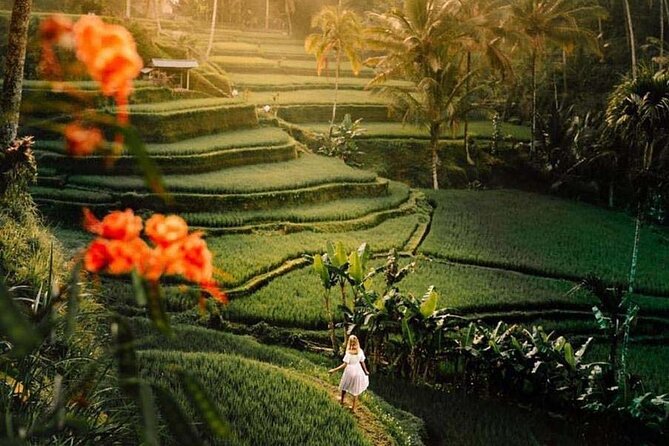 Ubud Private Tour - Waterfalls, Water Temple & Rice Terraces - Photo-First Value: Your Guide as Photographer, Not Just a Driver