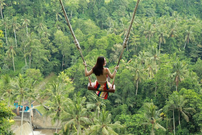 Ubud Private Tours with Jungle Swing Experience - all inclusive - Key things that make this tour worth your time