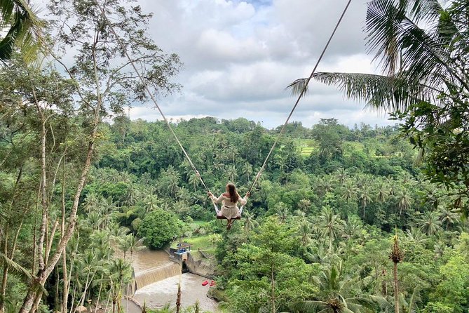 Ubud Private Tours with Jungle Swing Experience - all inclusive - Stop 2: Sangeh Monkey Forest for rainforest time and close encounters