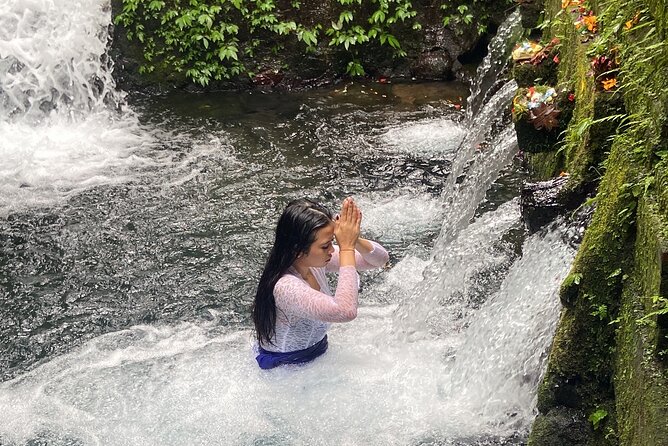 Ubud Shamanic Healing and Purification Ceremony - Price and what you really get for $50