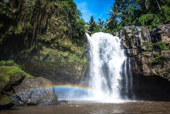 Ubud Sightseeing, Holy Water Temple & Waterfall - Key points before you go