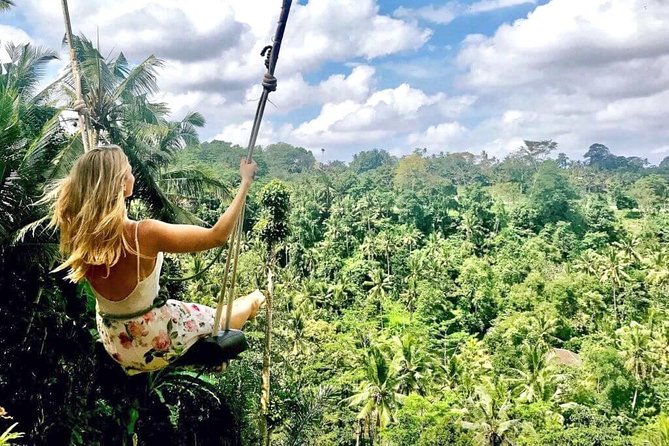 Ubud Sightseeing, Holy Water Temple & Waterfall - How this Ubud route makes your day feel efficient