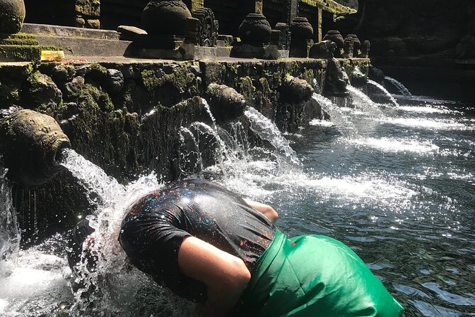 Ubud Sightseeing, Holy Water Temple & Waterfall - Stop 5: Tegalalang Rice Terrace for classic Ubud scenery and angles