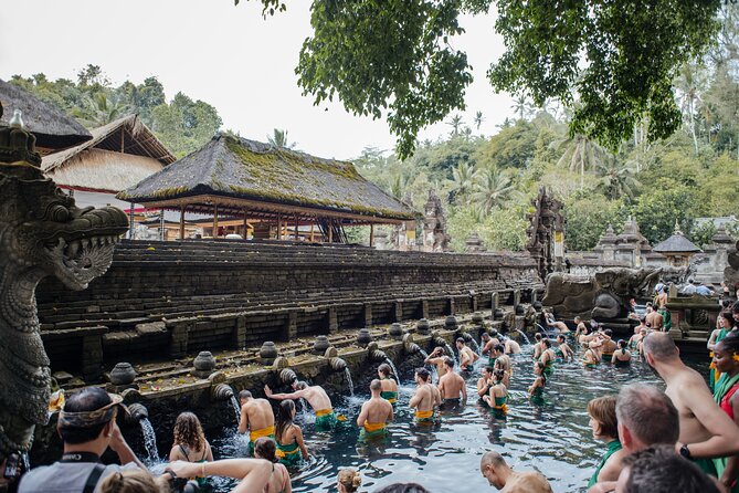 Ubud Small Group Tour: Monkey Forest, Tegalalang Rice Terraces and more - Why this Ubud day tour works when your schedule is tight