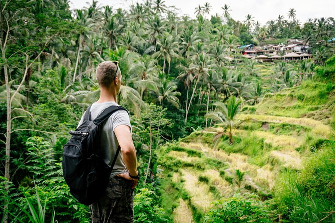 Ubud Small Group Tour: Monkey Forest, Tegalalang Rice Terraces and more - Tegalalang Rice Terrace: short time, big views, good photo staging