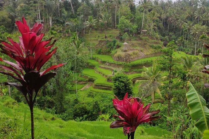 UBUD Spring Temple, Waterfall, Rice Terraces Private Tour - The ride toward Tanah Lot sunset, a classic finish to cap the day