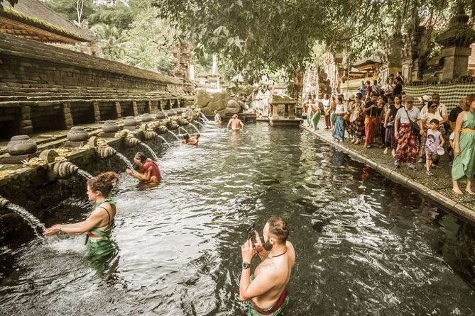 UBUD Spring Temple, Waterfall, Rice Terraces Private Tour - Price and what you really get for $129.99 per person
